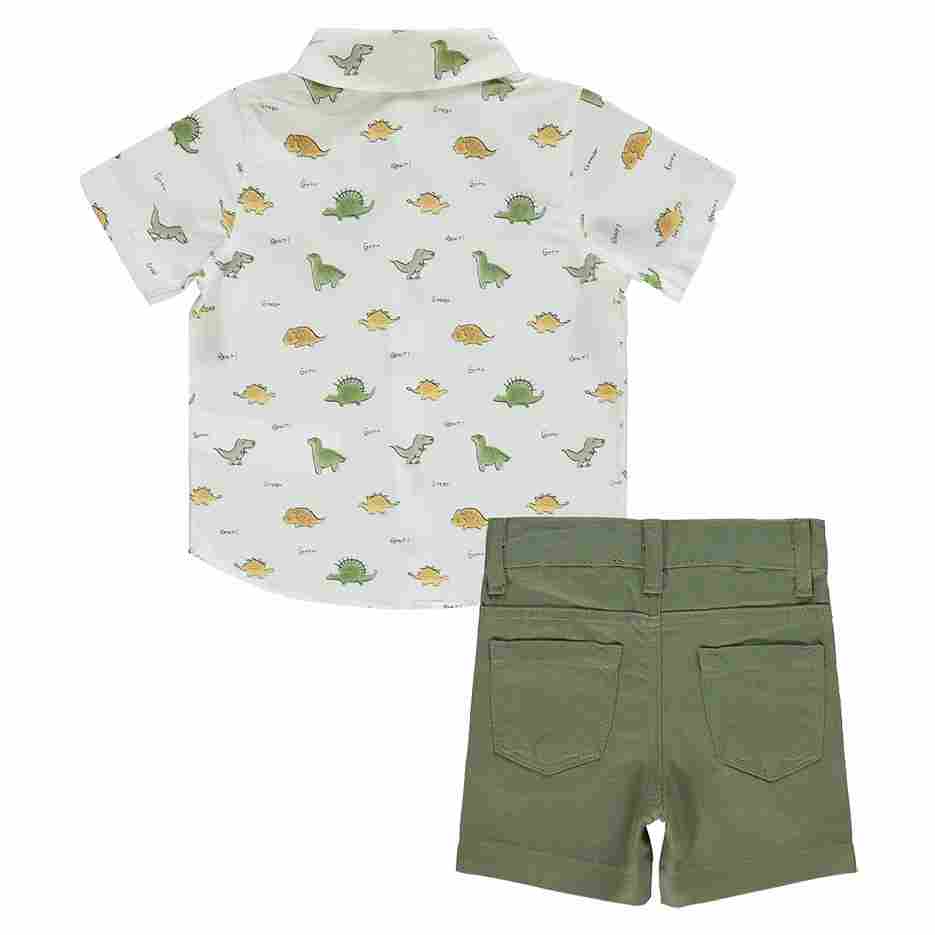 Boys_Sets_Shirts_Shorts_Online / C0682